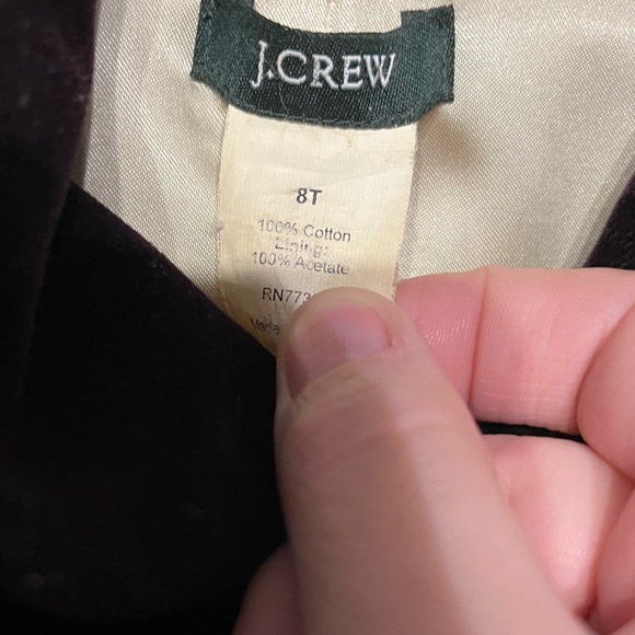 Jenna Lyons Vintage J. Crew Velvet Plum Eggplant Blazer 8T - Picture 6 of 6